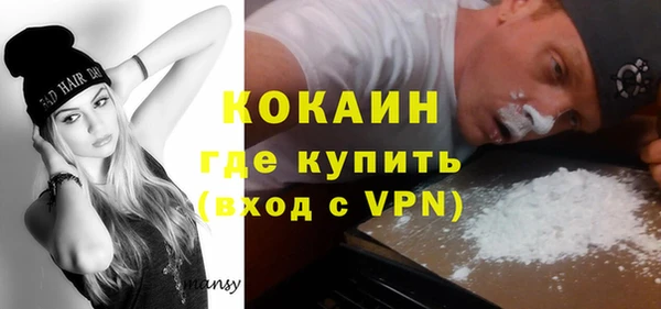 молекула духа Арсеньев