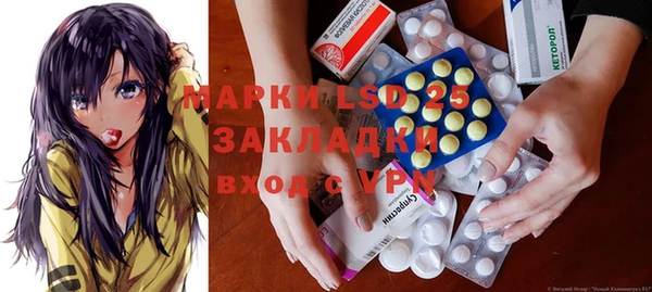 молекула духа Арсеньев
