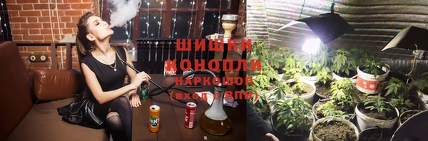 молекула духа Арсеньев