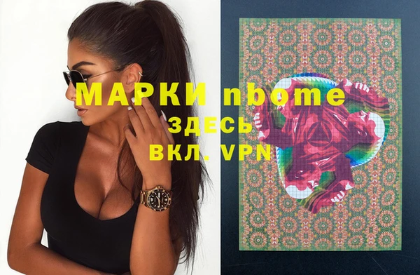молекула духа Арсеньев