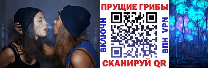 Псилоцибиновые грибы прущие грибы  Купить где  Кингисепп 